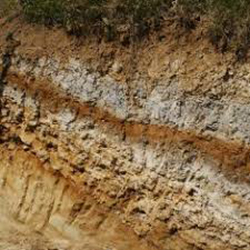 Les différents types de sols à Bouge-Chambalud